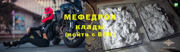 хмурый Аркадак